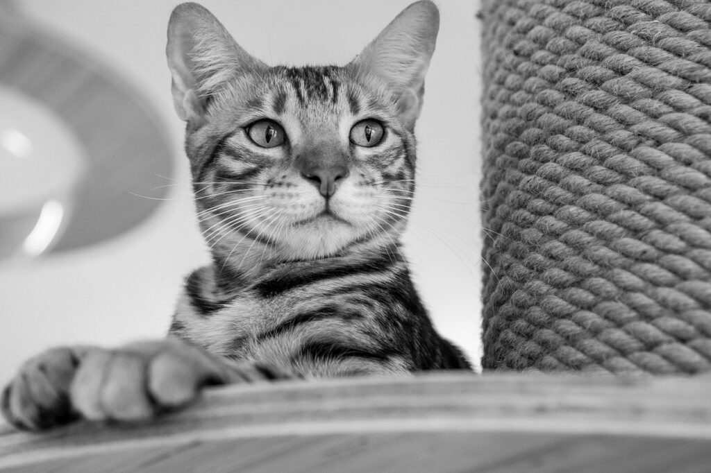 九州の秘湯で癒されるおすすめの温泉は？