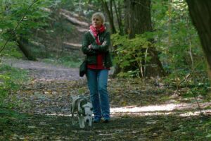 指宿でペットと楽しむ温泉旅行のおすすめプランは？