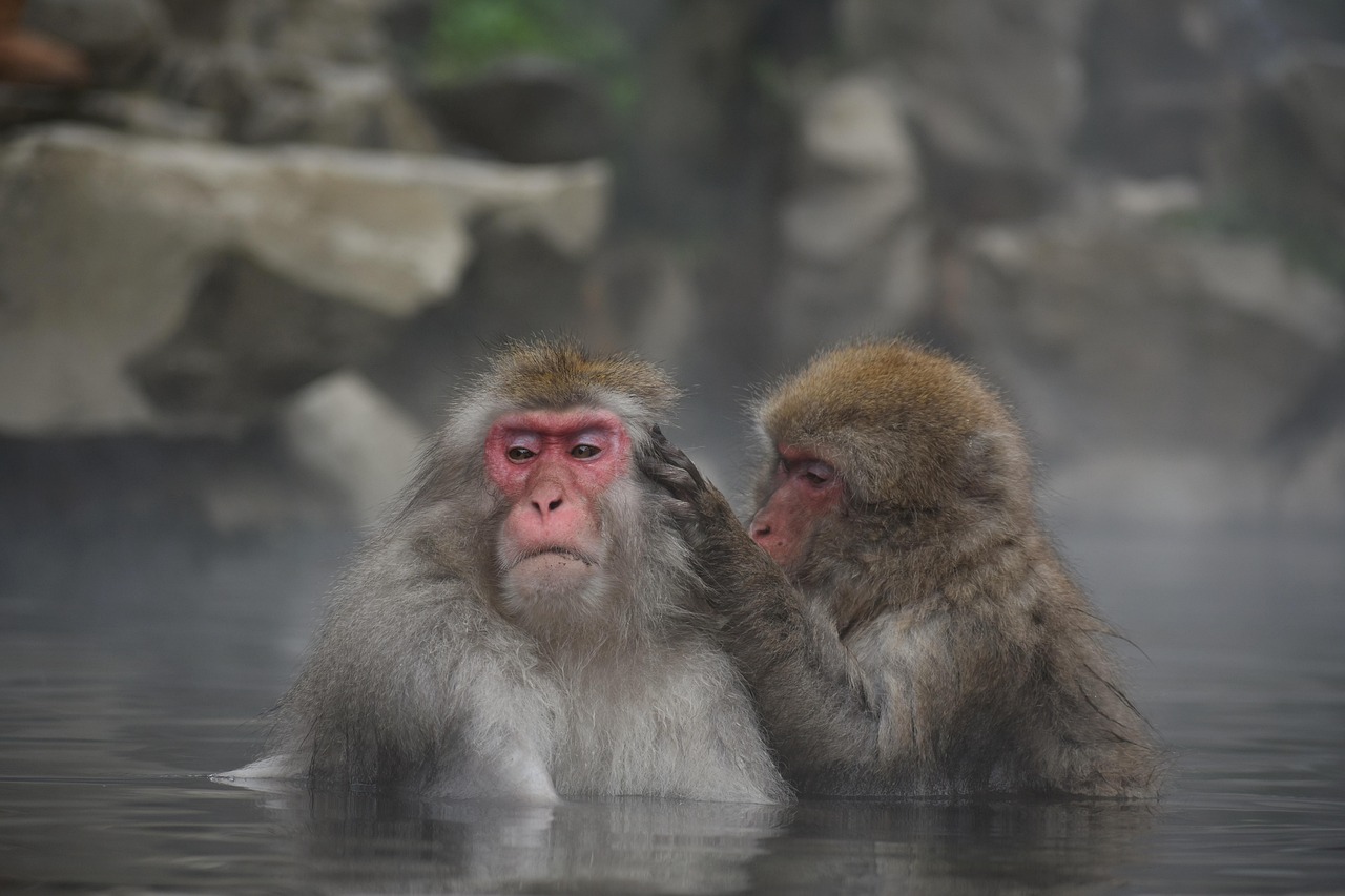 九州の温泉デートに最適なプライベート露天はどこ？