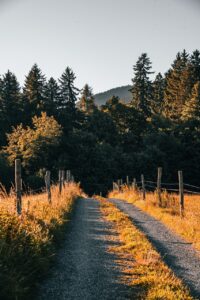 九州で客室数少なめの静かな宿はどこにある？