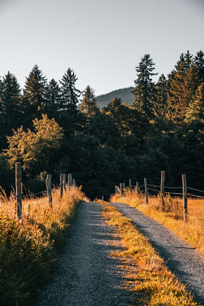 九州で客室数少なめの静かな宿はどこにある？