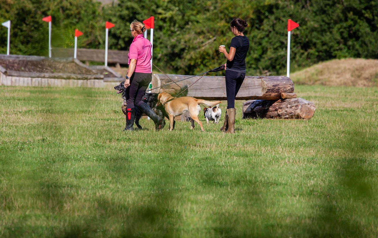 九州の朝の散歩で楽しむ露天風呂の旅は？