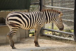 福岡でととのう温泉デートにおすすめのスポットは？