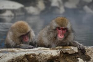 九州のカップルにおすすめの安い露天風呂付き温泉は？