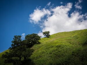 九州の温泉で楽しむ南阿蘇デートのおすすめプランは？