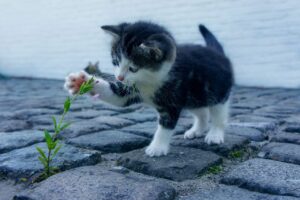 九州の温泉宿でカップルが人目を気にせず過ごせるおすすめは？