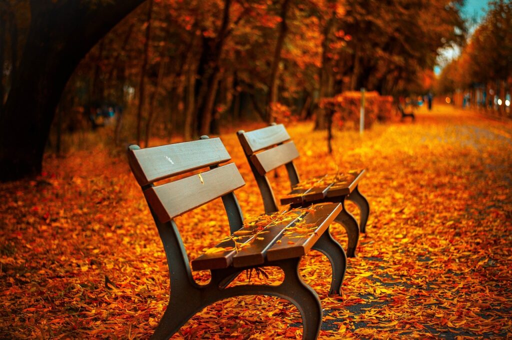 九州の温泉デートで秋の紅葉を楽しむためのポイントは？