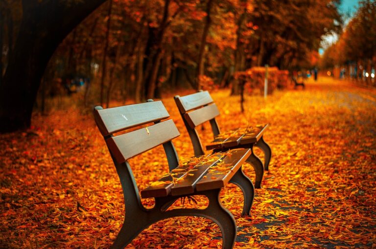 九州の温泉デートで秋の紅葉を楽しむためのポイントは？